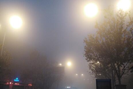 冬季里的雾霾——高娜